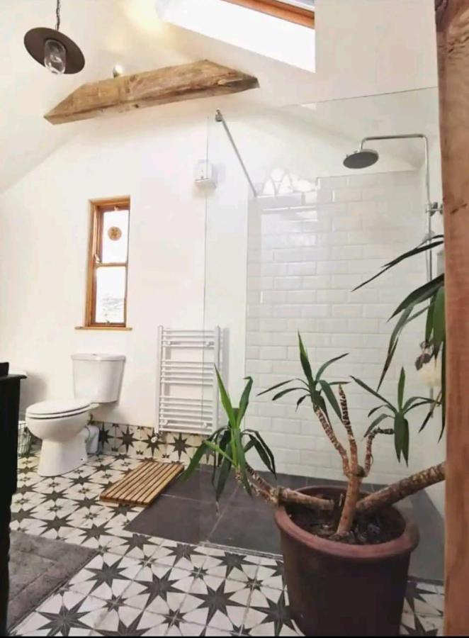 Apartament The Carton Store Loft Apt Cork Zewnętrze zdjęcie